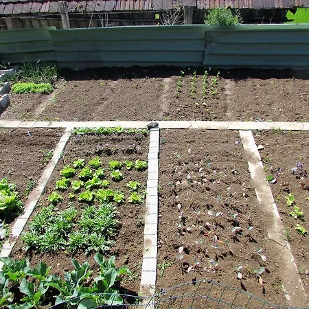Maderebner 公寓