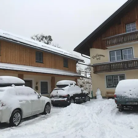 Apartment Maderebner *