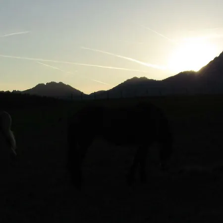 Апартаменты Maderebner *