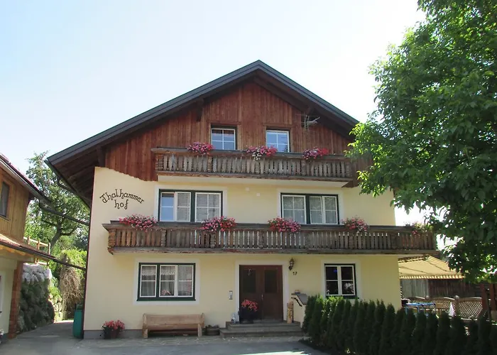 Maderebner * غوربمينغ