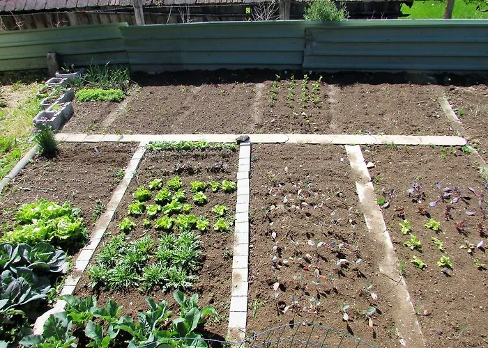 Maderebner Lägenhet