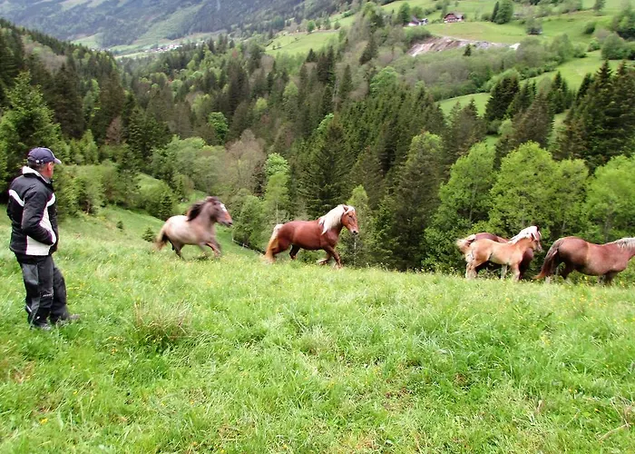 Maderebner شقة غوربمينغ