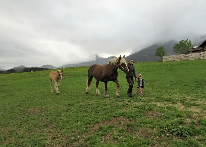 Apartment Maderebner *