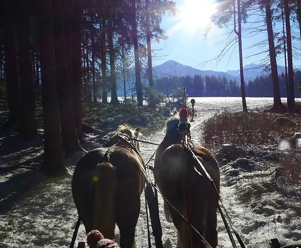 شقة Maderebner غوربمينغ