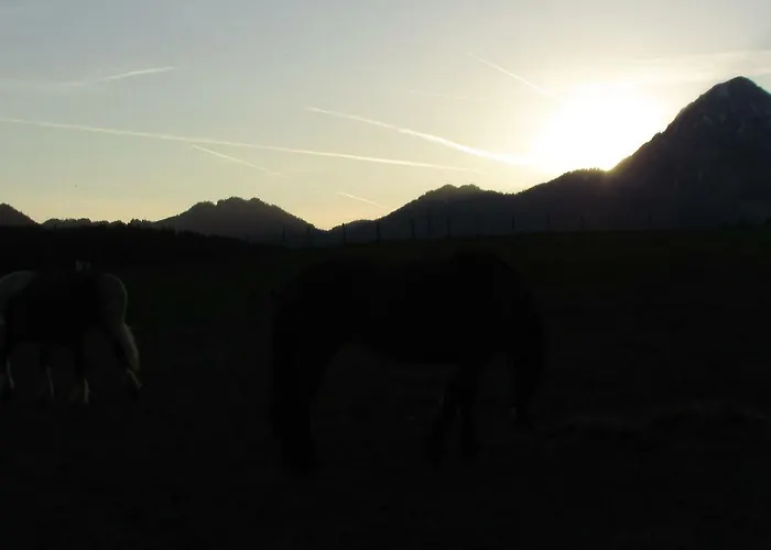 Lägenhet Maderebner *